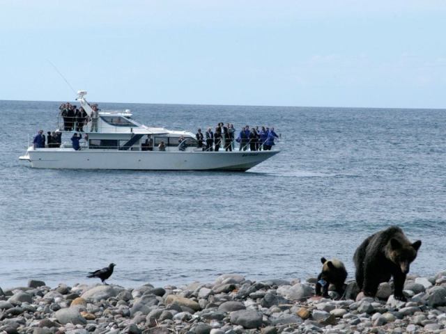 如果想見到知床的精隨，就要從海洋開始！乘坐觀光船來觀賞棕熊。