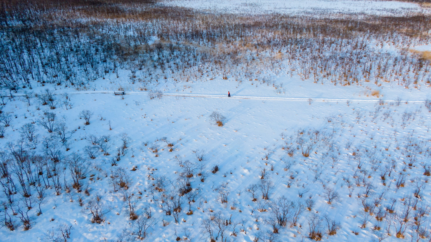 1.穿上雪鞋漫步於「釧路溼原」的冰雪夢幻世界中