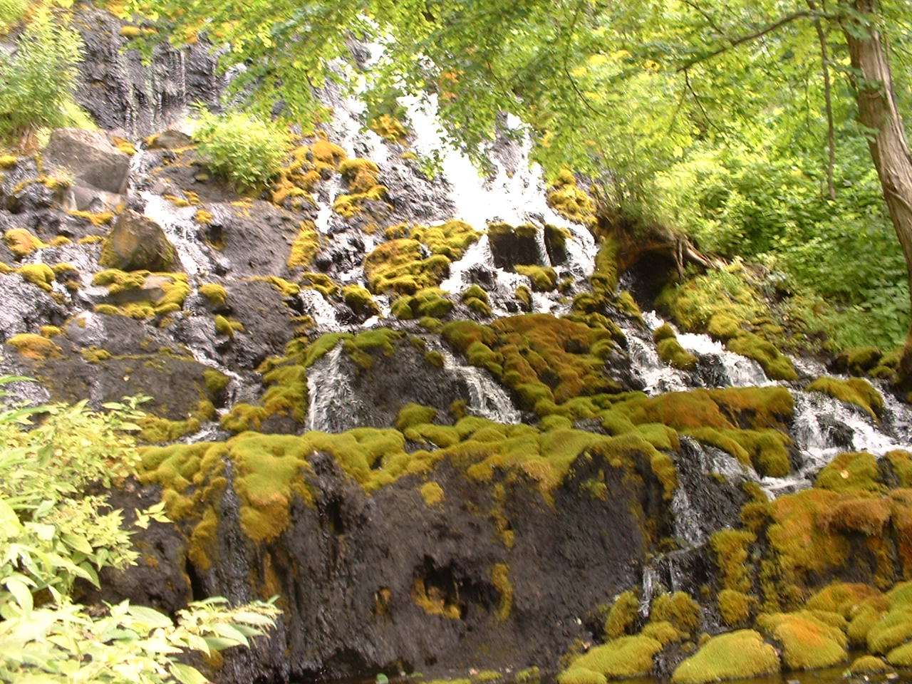 於「Onneto溫泉瀑布」感受地球創世紀的科學‧浪漫